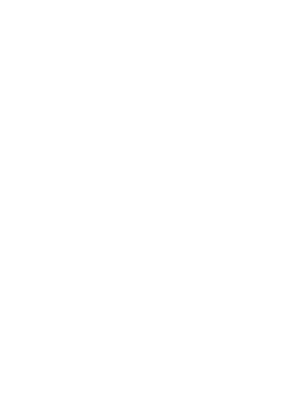 Ray Consulting