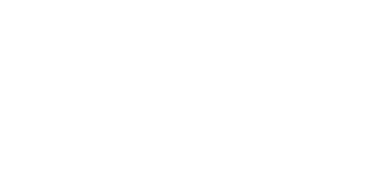 Ray Consulting